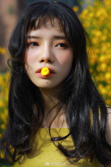 鲸鱼夫妇全集